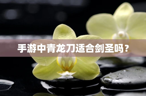 手游中青龙刀适合剑圣吗？