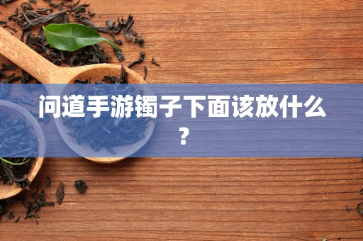 问道手游镯子下面该放什么？