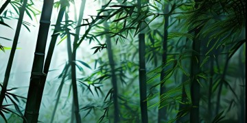 楚留香手游用什么镜头合适呢？