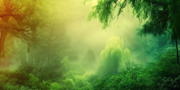 问道手游后期木系该加什么属性？