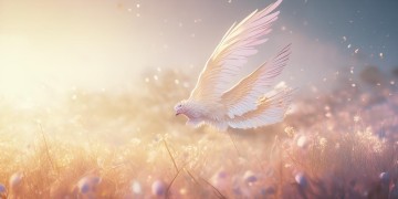 天使手游究竟什么时候更新？